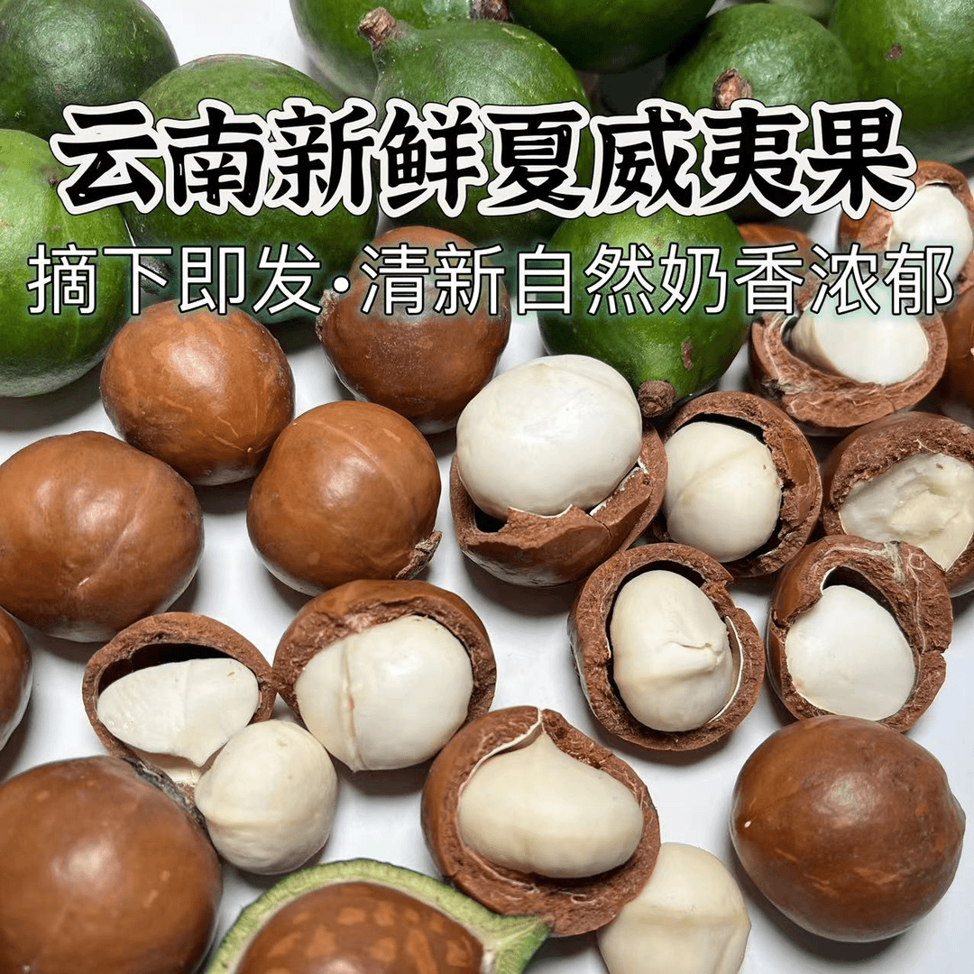 A《晓敏专属》云南深山夏威夷果新鲜现摘带开果器鲜果发货清新奶香
