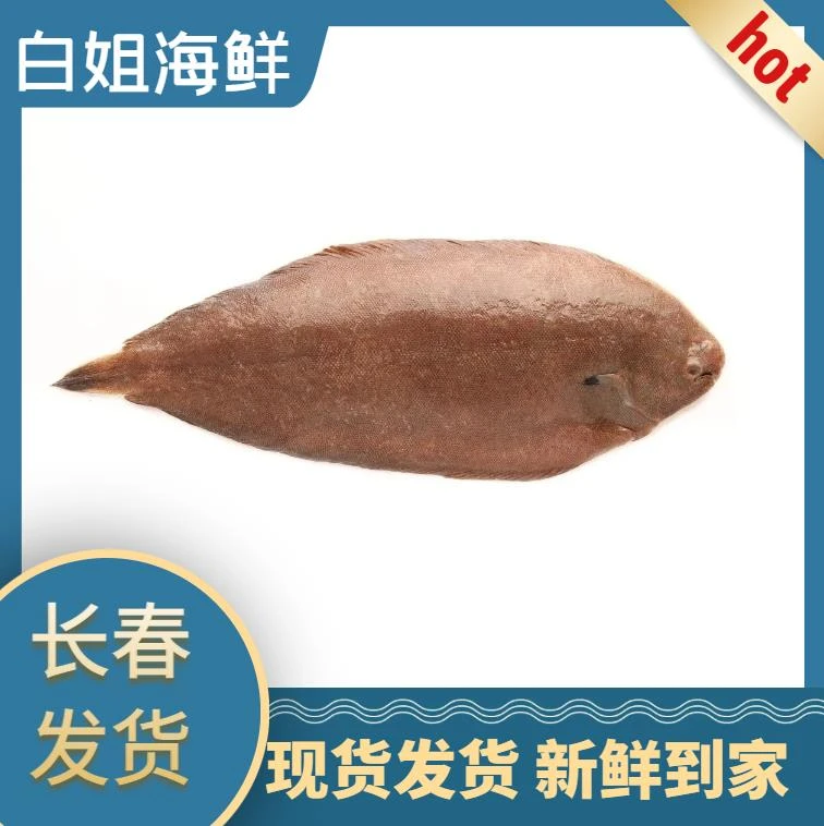 【白姐海鲜】断氧踏板鱼3斤左右