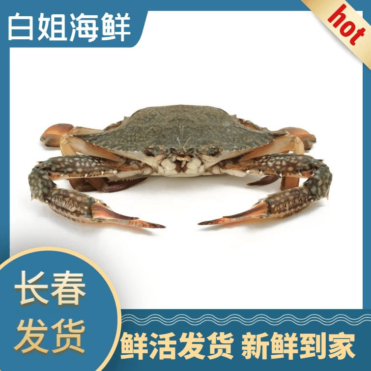 【白姐海鲜】断氧满黄母飞蟹3斤装箱