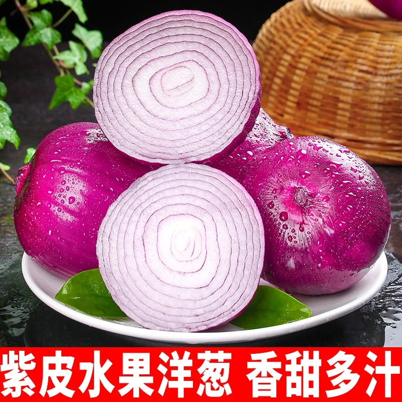 新鲜紫皮洋葱新鲜蔬菜生吃脆甜水果圆葱现挖红皮鲜嫩洋葱5/9斤