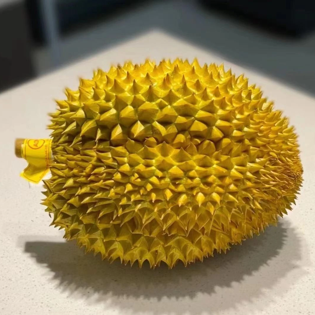 黄金普雅保4房 不开果