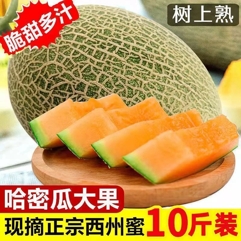 正宗海南三亚哈密瓜哈密瓜哈密瓜新疆正宗应季水果1-9斤装爆甜