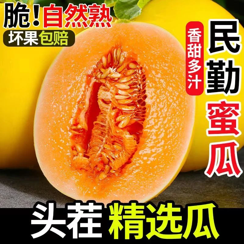 【爆甜多汁】甘肃民勤沙漠蜜瓜冰糖哈密瓜新鲜水果应季甜瓜整箱包邮