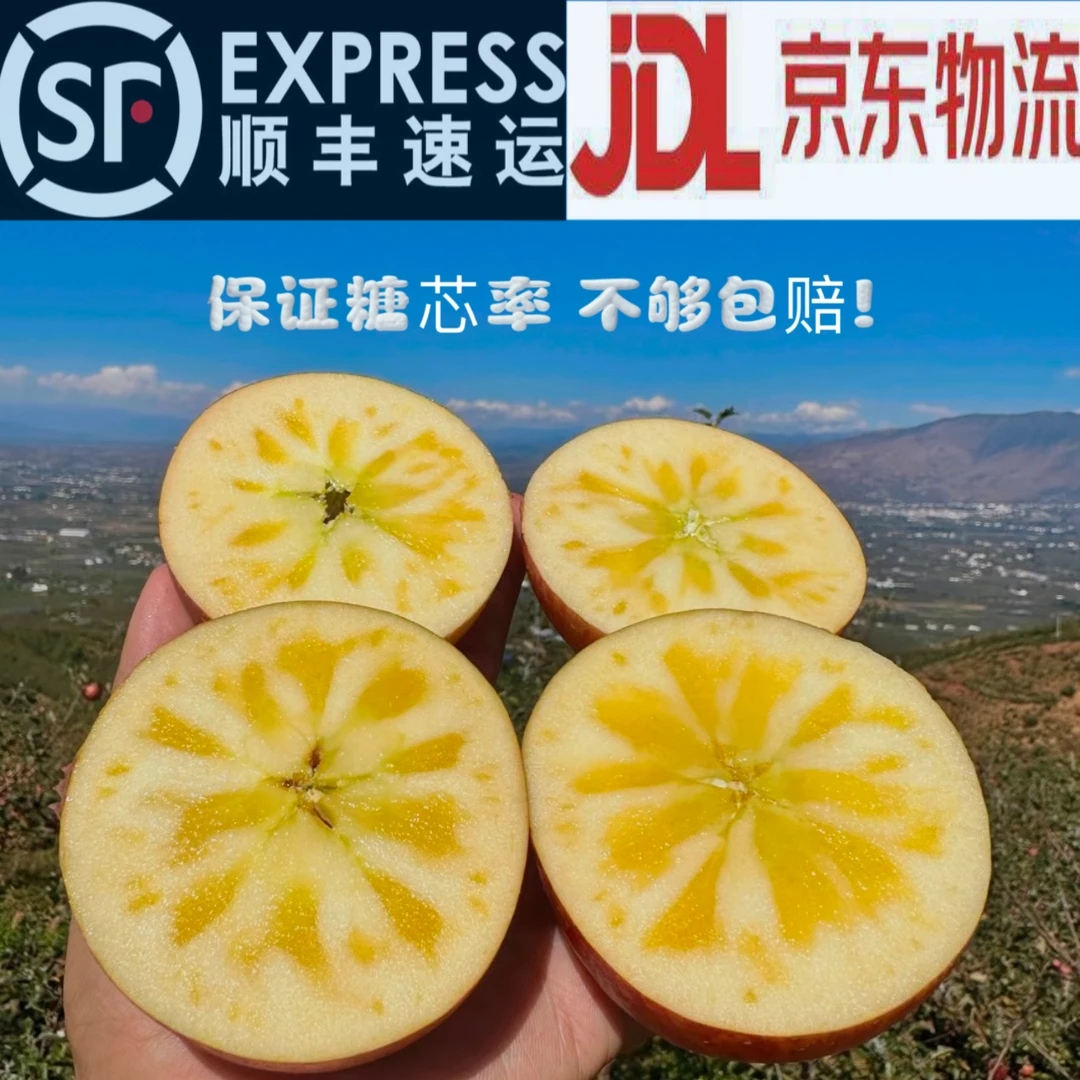 东北内蒙 顺丰京东 大凉山盐源晚熟富士冰糖心丑苹果8斤保糖芯