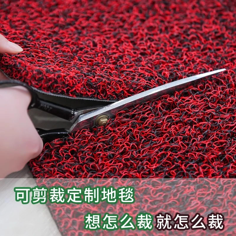 可裁剪丝圈地垫进门入户门垫门厅防滑垫耐磨门口塑料脚垫汽车脚垫