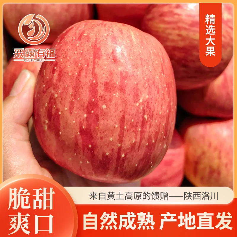 5斤8.5斤大果采露高原洛川红富士苹果脆甜多汁带箱包邮新鲜好吃