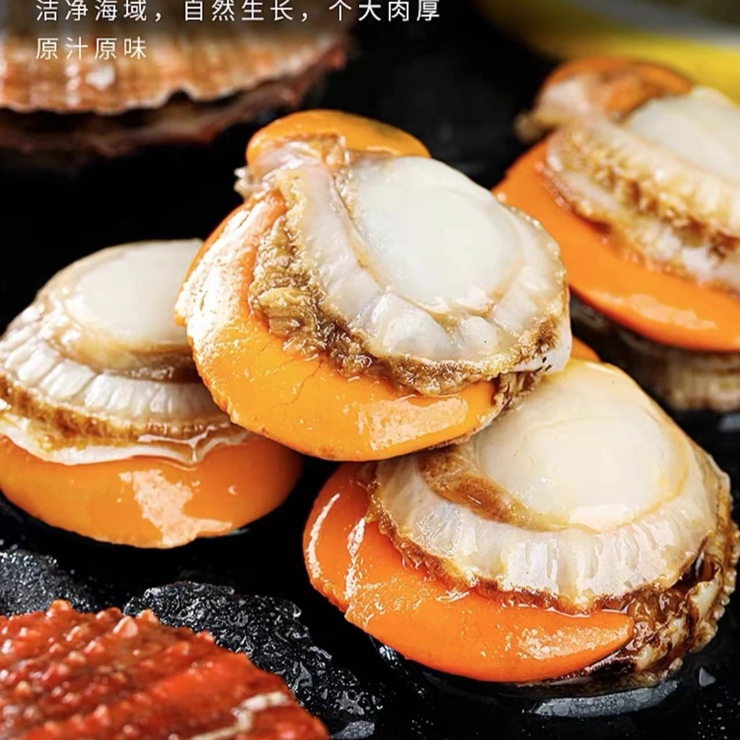 无冰大个扇贝肉 2500g