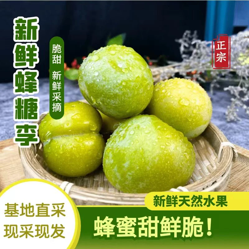 新鲜蜂糖李基地直采,现采现发,香甜约3斤装