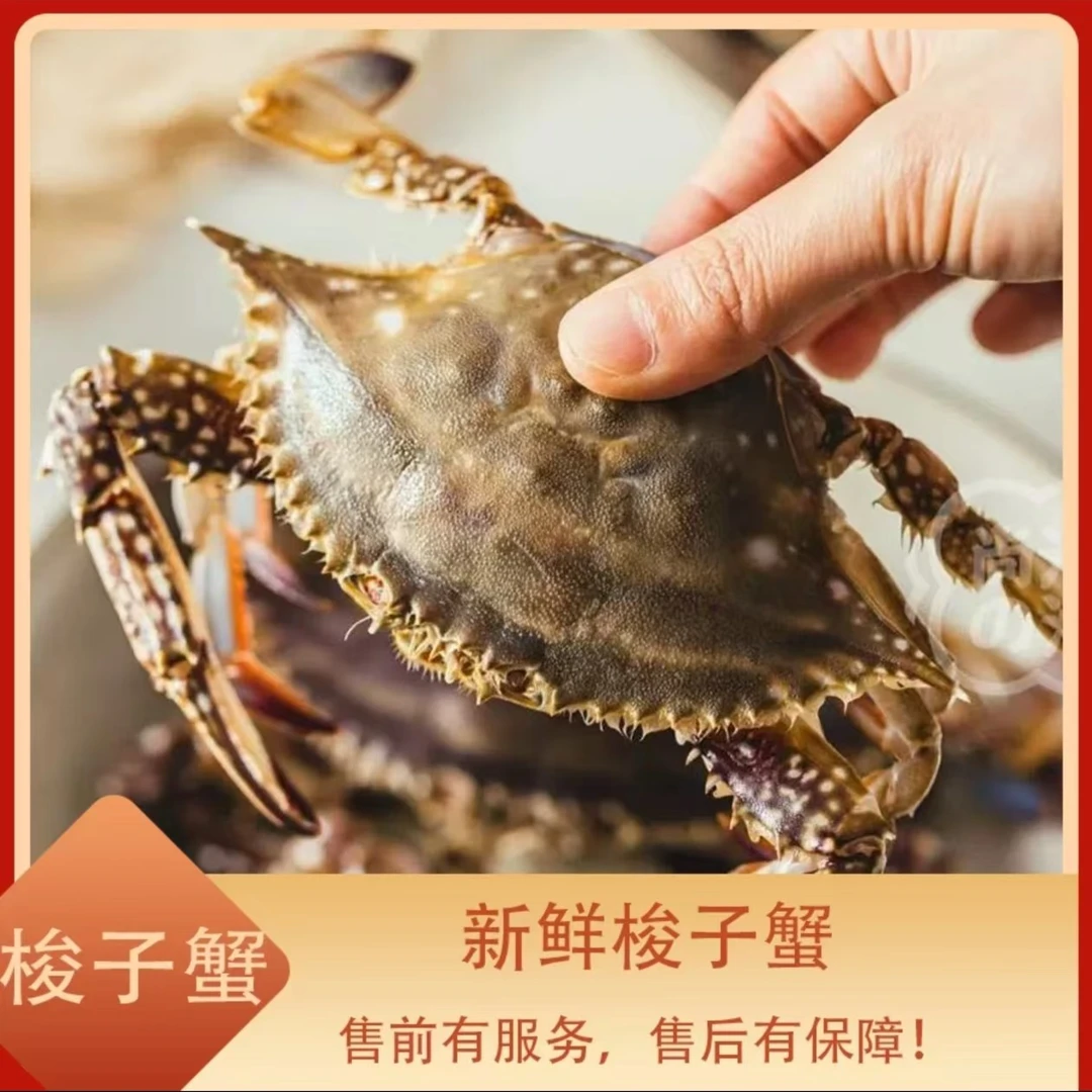 福利软壳蟹和米米小蟹一起发 冰鲜发货 到手4斤半以上