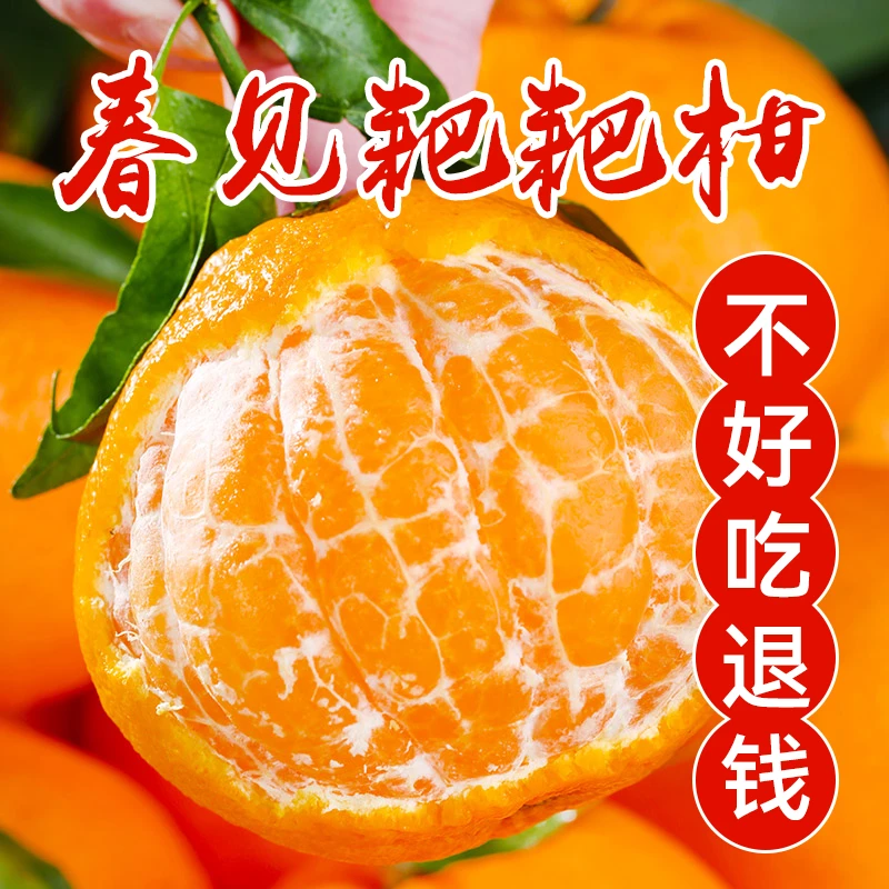 正宗四川春见耙耙柑粑粑柑当季新鲜水果现摘丑桔橘子整箱