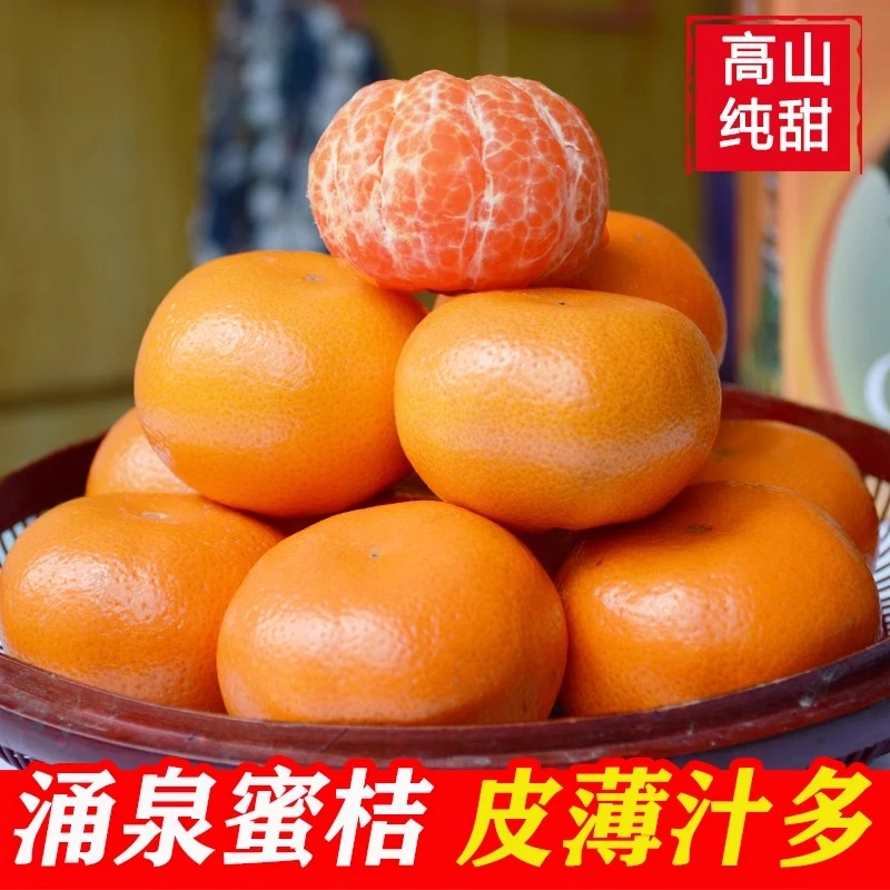 【顺丰包邮】大棚正宗临海涌泉蜜桔整箱当季水果新鲜桔子无核蜜橘