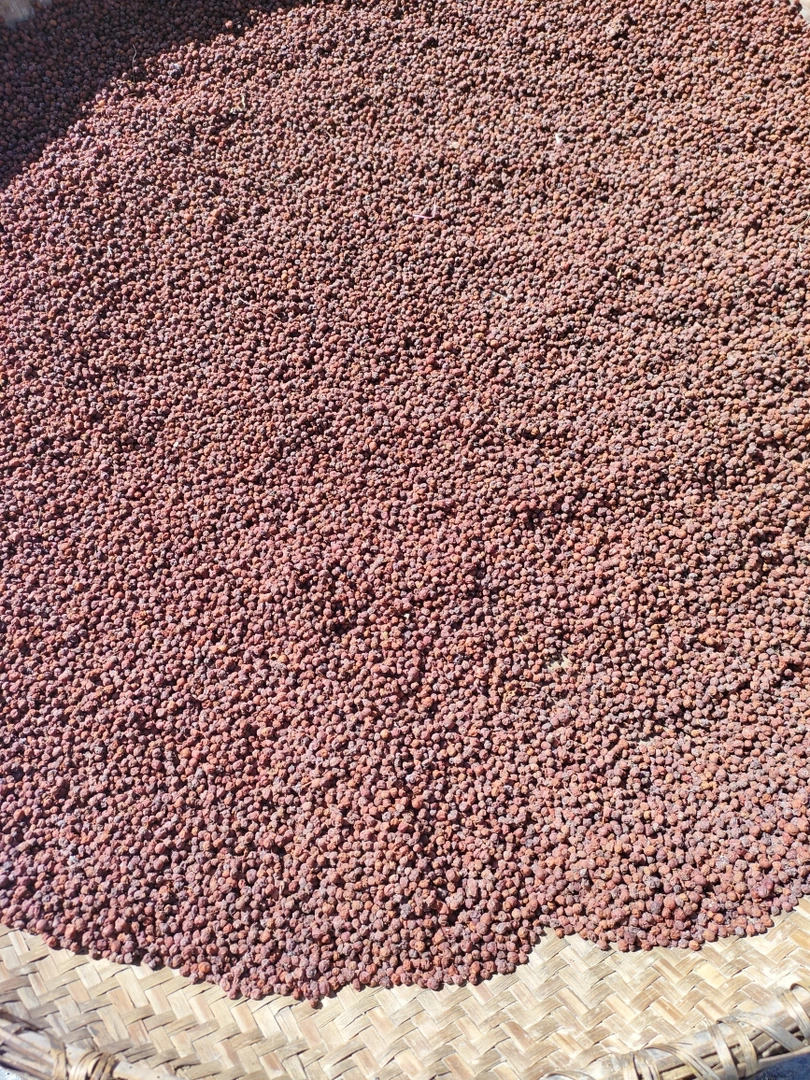 野生五味子500g秦岭北麓五味子干货正品特级泡茶泡酒中药1斤