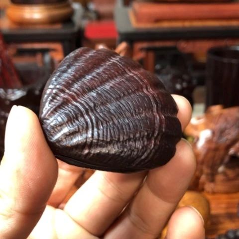 檀香紫檀（小叶紫檀）扇贝盒