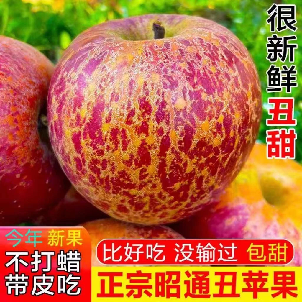 云南昭通山野当季新鲜脆甜冰糖心丑苹果果园直发实惠冰糖心苹果