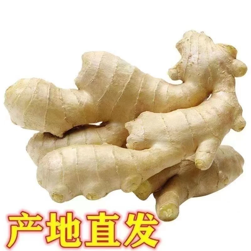 山东特产大姜水洗风干大块老黄姜无硫熏无泡药5斤 SY-1188
