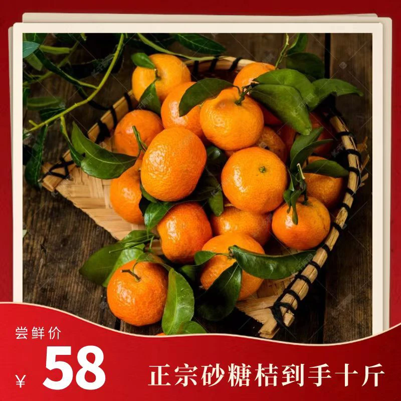 巷子花开产地直发正宗砂糖桔现摘现发树上自熟到手10斤
