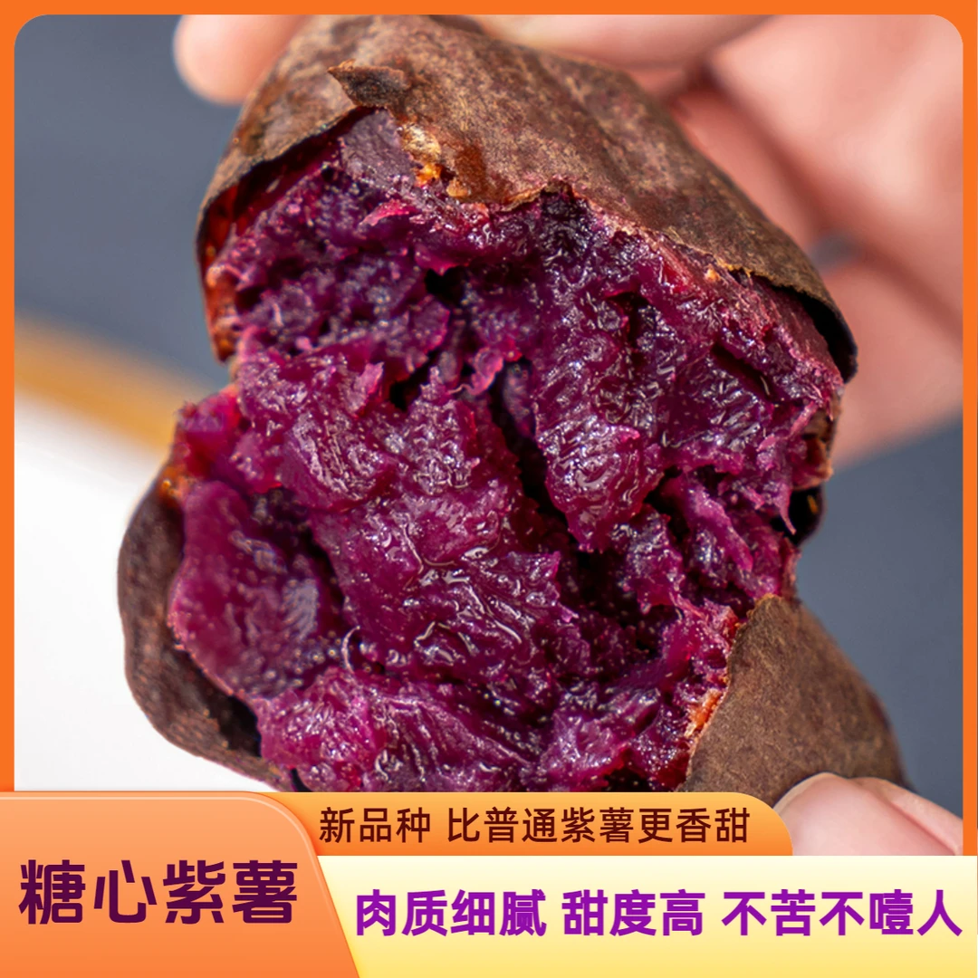 山东高山黑美人紫薯糖心紫芋新鲜红薯沙地种植软糯香甜健康美味
