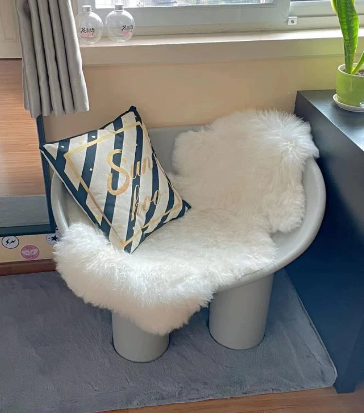 整张羊皮异形长毛绒吸汗创意坐垫毛毛沙发垫阳台飘窗垫车载椅垫