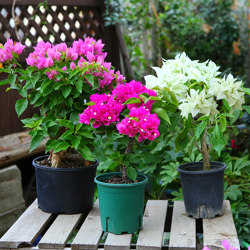 不包活，无售后，看好下单，一物一拍