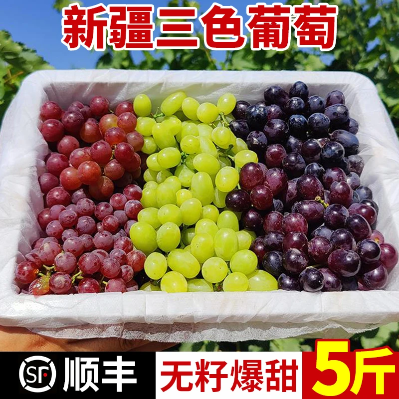 顺丰-新疆吐鲁番三色葡萄新鲜水果多汁现摘无核白无籽青提子5斤