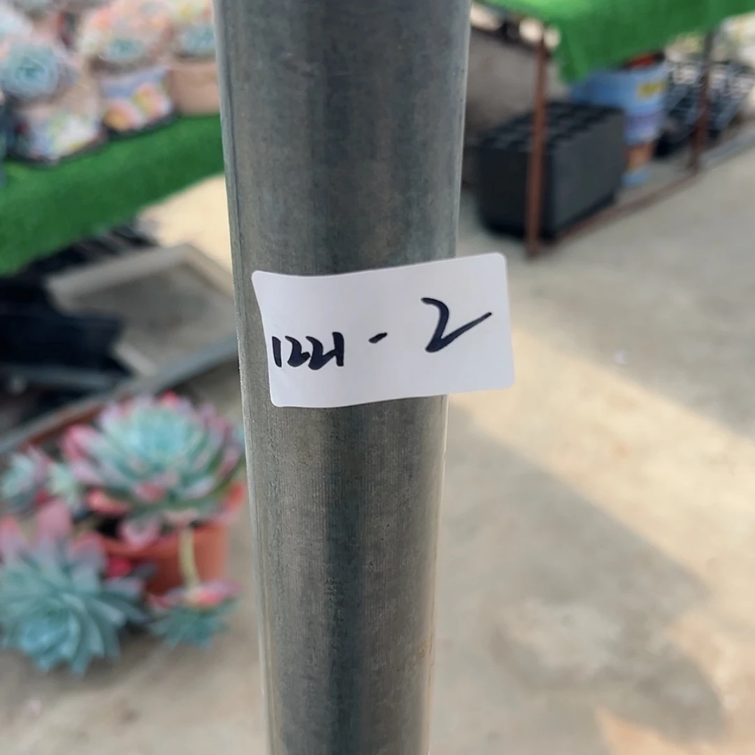 【闪购商品】独***欢1221-2雪媚娘缀