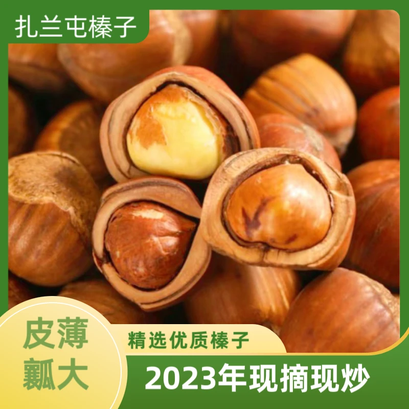 23年新鲜炒制扎兰屯野生榛子休闲孕妇儿童解馋带壳坚果零食3斤5斤
