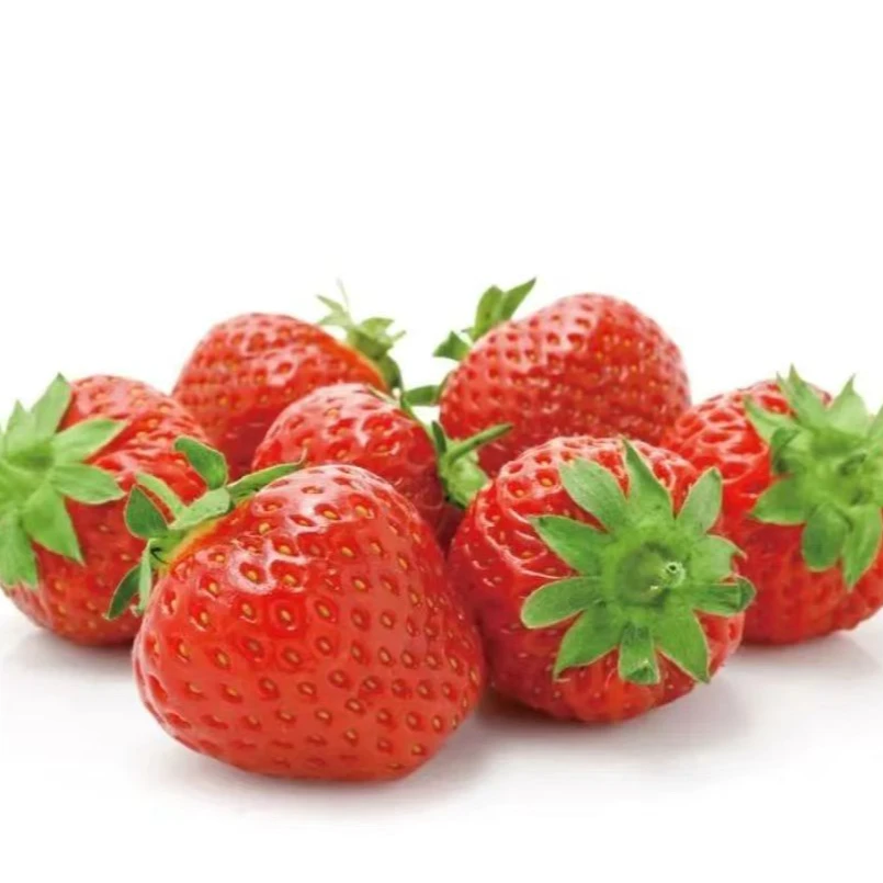 【丹东99】草莓 一份3盒 单盒300g左右