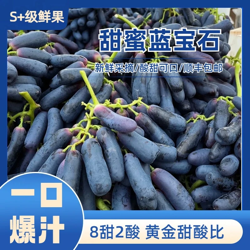 【顺丰空运】金手指无籽黑提美人指3斤蓝宝石手指葡萄孕妇新鲜水果