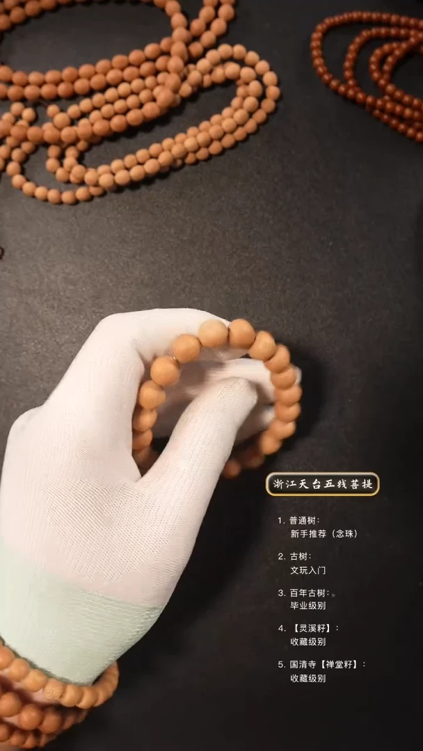 【闪购商品】五线菩提吊坠原皮10+手串