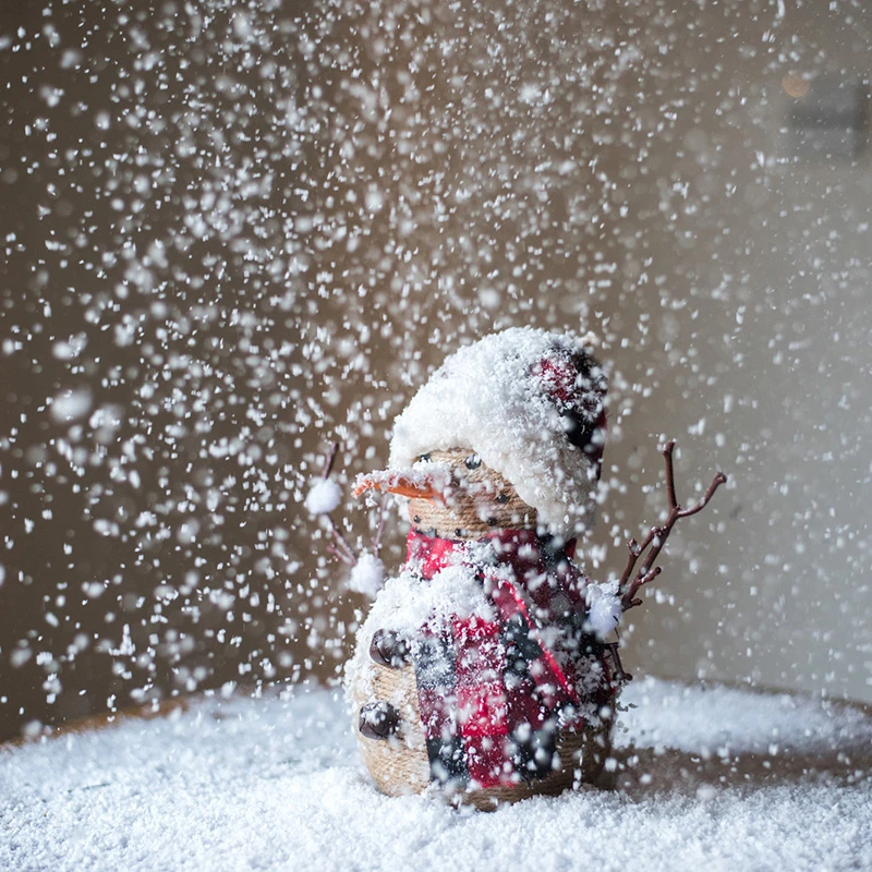 掬涵雪花仿真雪花逼真假雪圣诞节日气氛装饰雪粉橱窗陈列道具