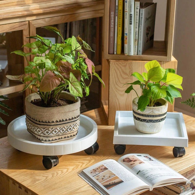 掬涵移动花盆托盘带轮底盘滑轮接水盘万向轮底座绿植盆栽花盘垫底