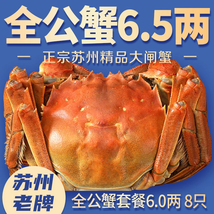 【6-6.5两全公蟹】苏州精选大闸蟹 特大新鲜优质螃蟹冷链精美礼盒装