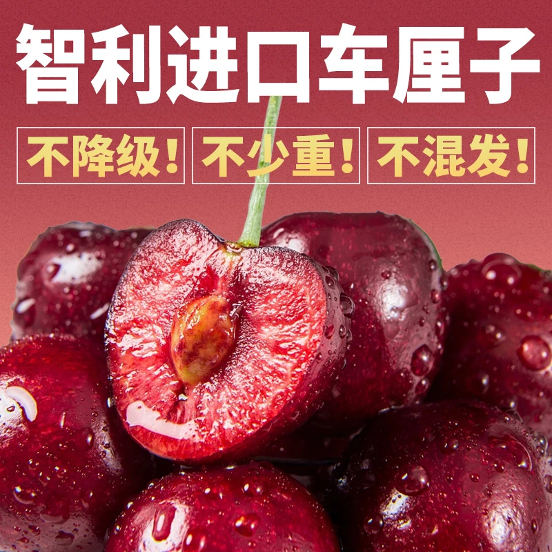 【10斤原箱2】智利进口拉宾斯车厘子特大多汁产地现摘新鲜水果樱桃