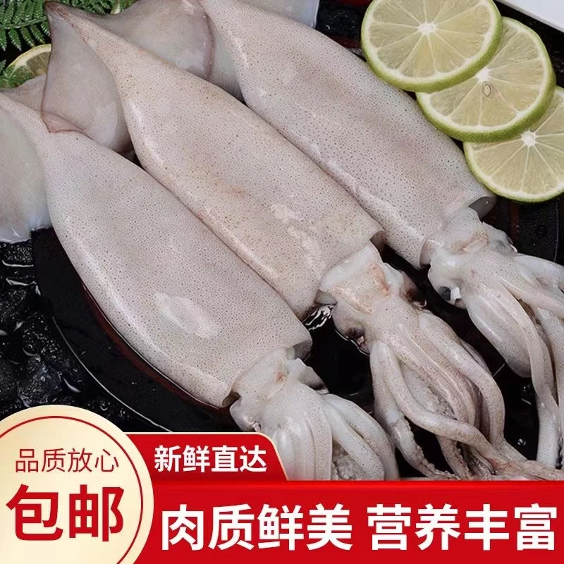 {年货尝鲜}原浆野生大鱿鱼,整条发货5斤约4条左右,连云港发货