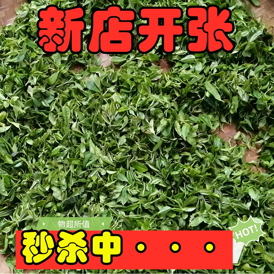 日照绿茶高火炒青工艺浓香型口粮茶高山绿茶中的天花板 #日照绿茶