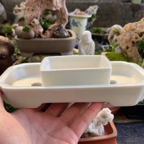 红陶20CM（含）-50CM（不含）村****》