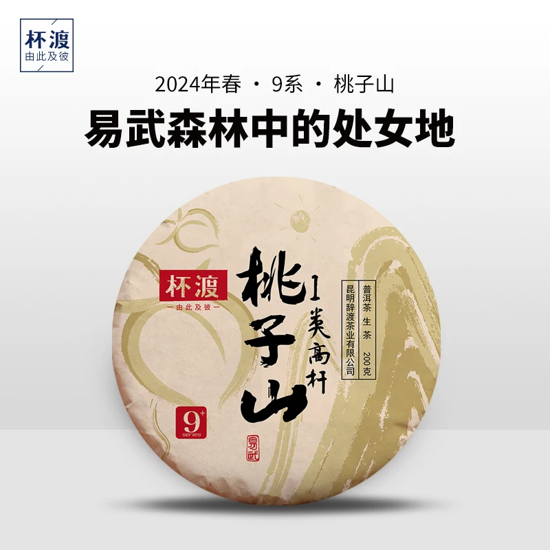 杯渡古茶易武顶货 2024年头春桃子山一类高杆 普洱生茶 200克/饼