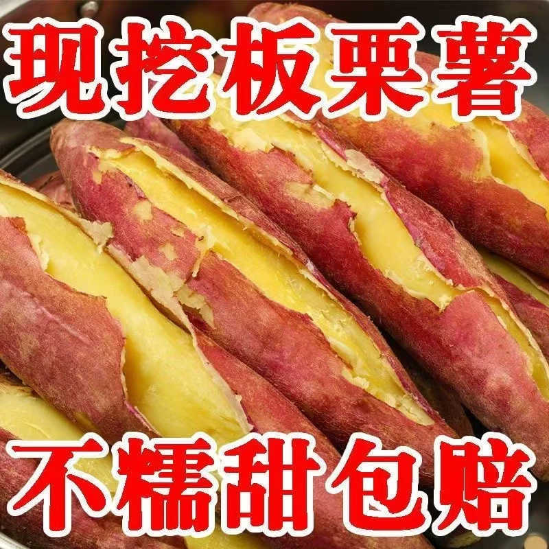 陕西虢王板栗红薯烤地瓜烤红薯烟蜜薯新鲜干面香甜食用农产品8斤