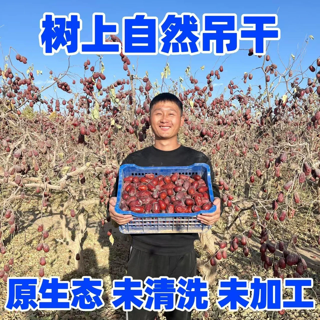 2024年和田大枣产地直发新疆特产原生态未清洗无添加皮薄肉厚核小
