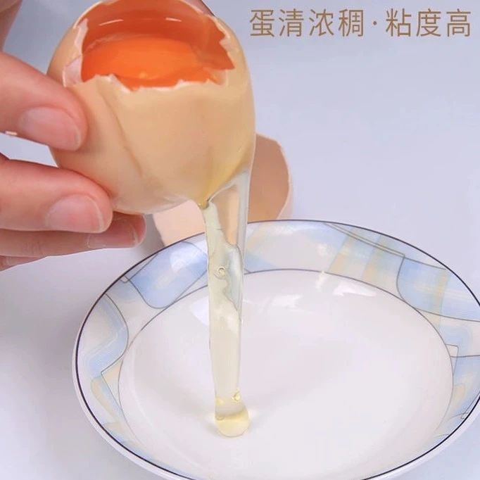 广西农家散养正宗土鸡（30枚）