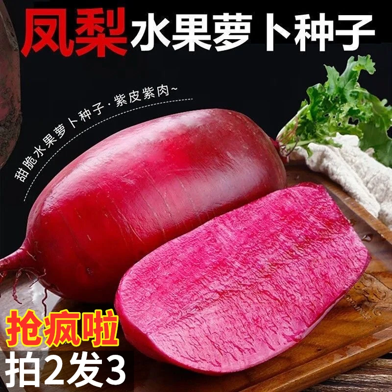 (拍2发3)凤梨萝卜种子甜脆水果红皮红心萝卜种籽阳台盆栽蔬菜种孑