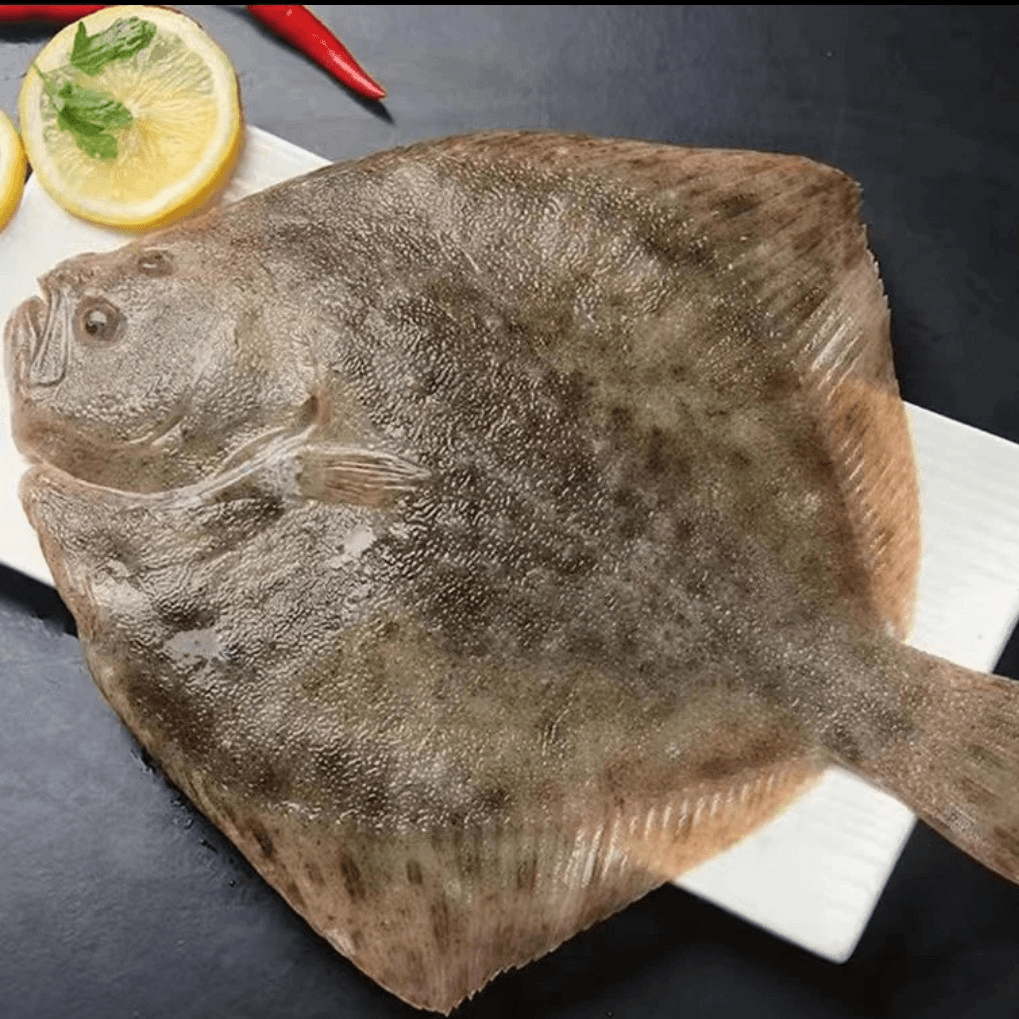 园园海鲜 连云港发货 新鲜速冻多宝鱼鲜嫩 300-350g/条到手 10 条