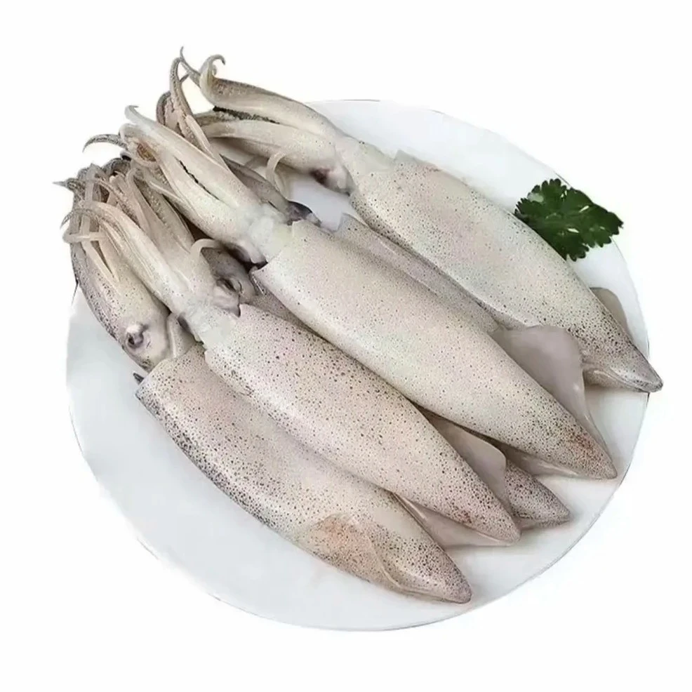 园园海鲜 连云港发货 新鲜速冻发货 鲜海兔 500g/包 到手 4 包