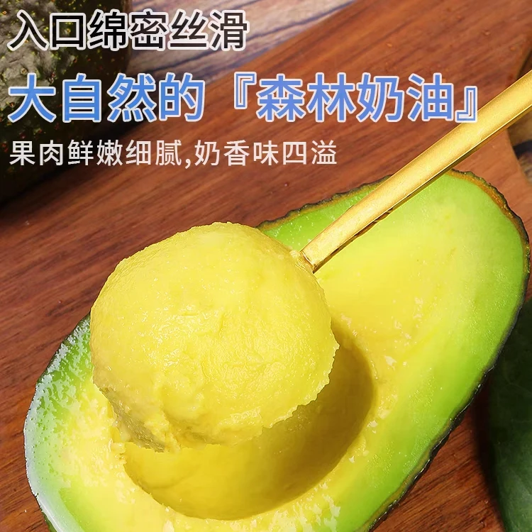 高端进口墨西哥牛油果 10颗一份