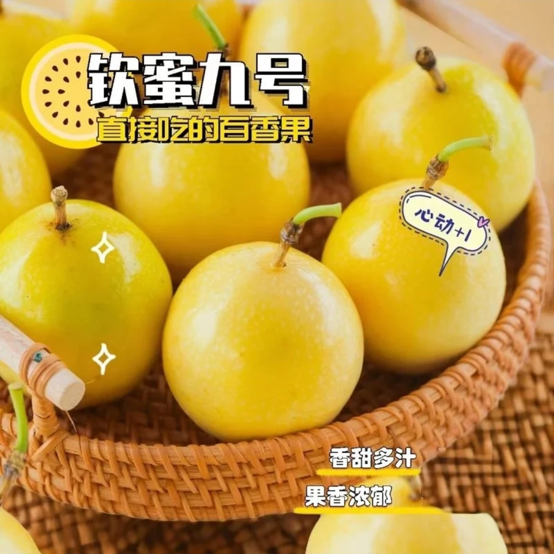 广西钦蜜9号 百香果 20颗 /份