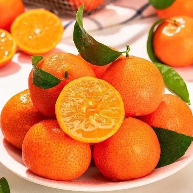 （精品）广西正宗砂糖橘净重5斤/10斤/件