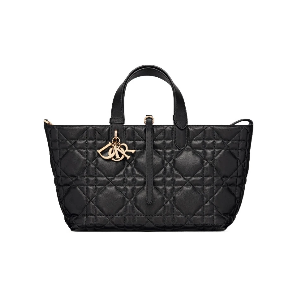 全新未使用 DIOR/迪奥 【小花Han】Toujours 手提单肩包 中号 包