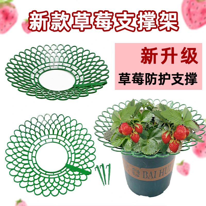 草莓支架草莓种植立体架阳台盆栽花盆防腐烂结实绿植果实支撑托盘