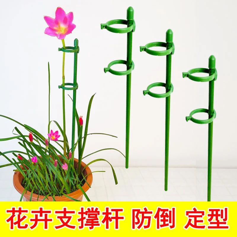 植物固定防倒伏支架子园艺支撑单杆室内外月季爬藤绣球撑花支架子