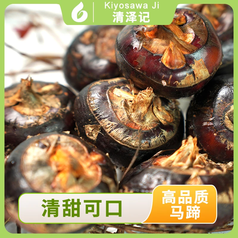 【脆甜无渣】粤北乐昌北乡马蹄荸荠脆甜多汁 新鲜现挖地梨 农家自种